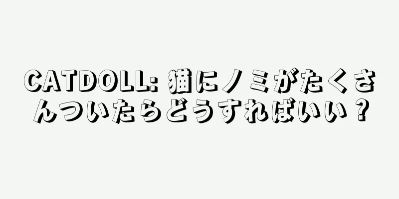 CATDOLL: 猫にノミがたくさんついたらどうすればいい？
