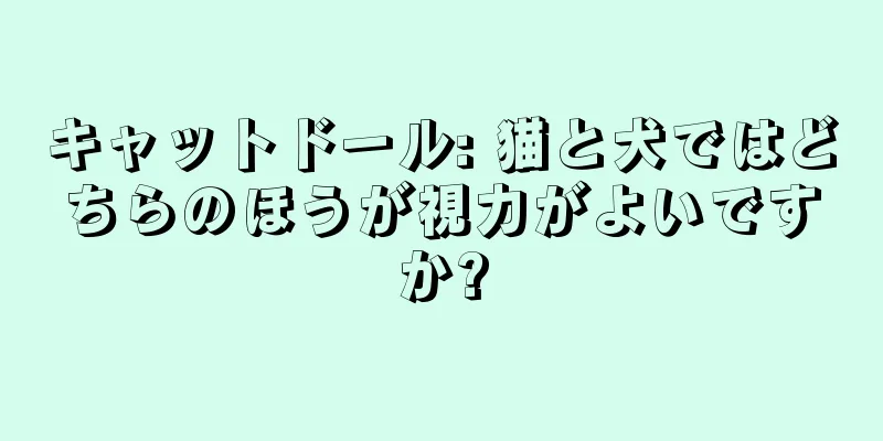キャットドール: 猫と犬ではどちらのほうが視力がよいですか?