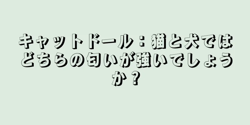 キャットドール：猫と犬ではどちらの匂いが強いでしょうか？