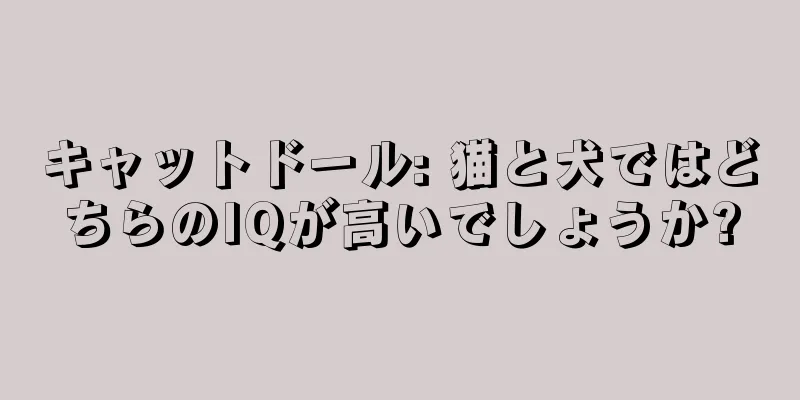 キャットドール: 猫と犬ではどちらのIQが高いでしょうか?
