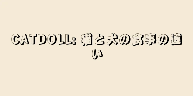 CATDOLL: 猫と犬の食事の違い