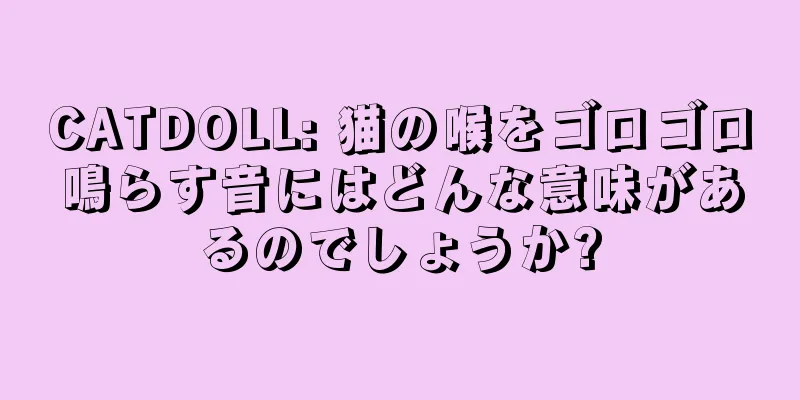 CATDOLL: 猫の喉をゴロゴロ鳴らす音にはどんな意味があるのでしょうか?