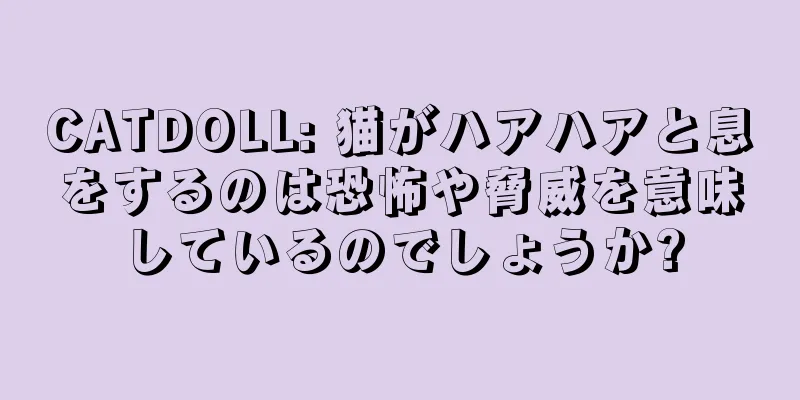 CATDOLL: 猫がハアハアと息をするのは恐怖や脅威を意味しているのでしょうか?