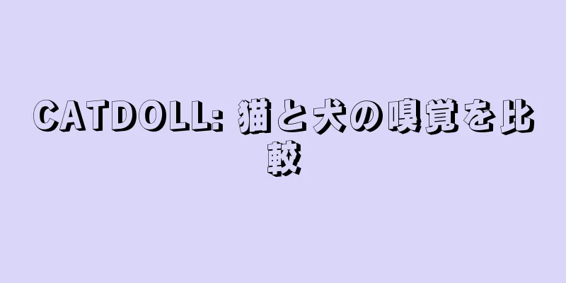 CATDOLL: 猫と犬の嗅覚を比較