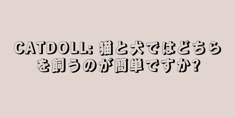 CATDOLL: 猫と犬ではどちらを飼うのが簡単ですか?