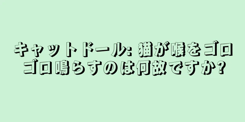 キャットドール: 猫が喉をゴロゴロ鳴らすのは何故ですか?