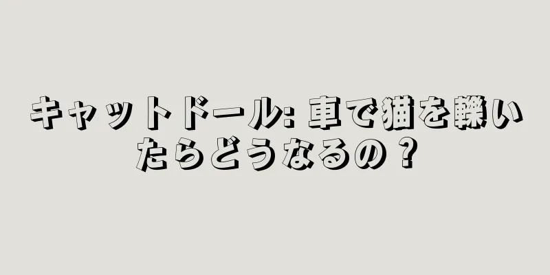 キャットドール: 車で猫を轢いたらどうなるの？