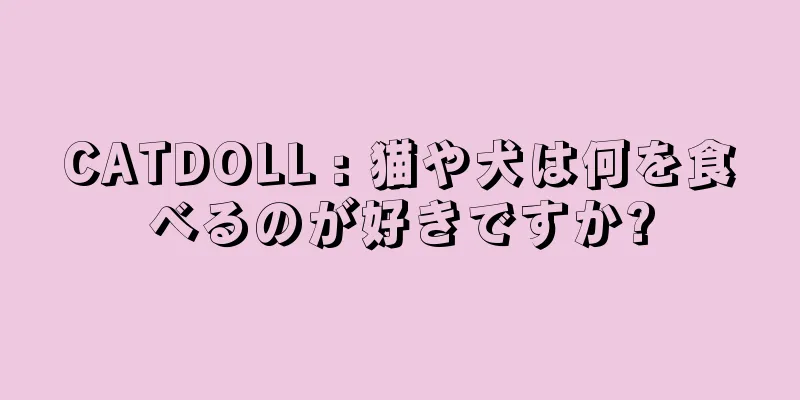 CATDOLL : 猫や犬は何を食べるのが好きですか?