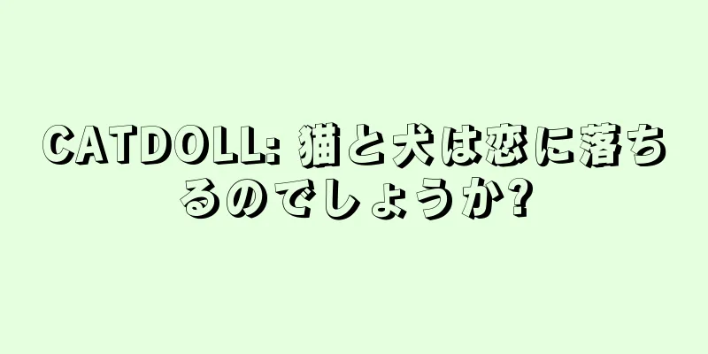 CATDOLL: 猫と犬は恋に落ちるのでしょうか?