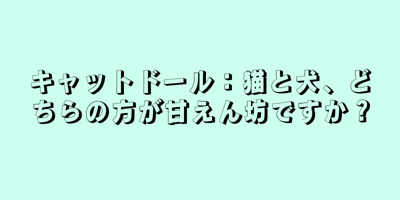 キャットドール：猫と犬、どちらの方が甘えん坊ですか？
