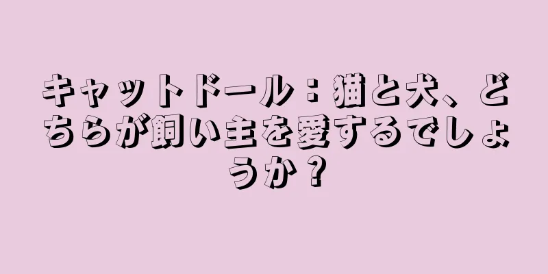 キャットドール：猫と犬、どちらが飼い主を愛するでしょうか？