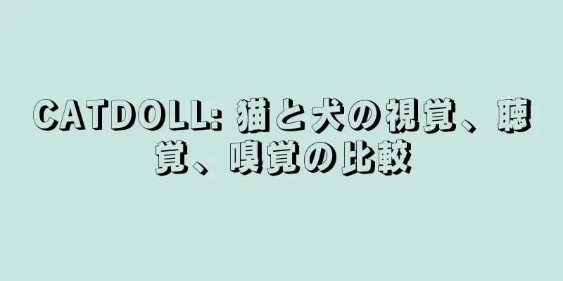 CATDOLL: 猫と犬の視覚、聴覚、嗅覚の比較