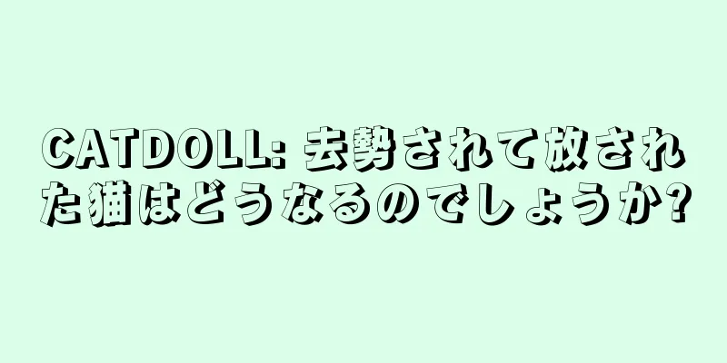 CATDOLL: 去勢されて放された猫はどうなるのでしょうか?