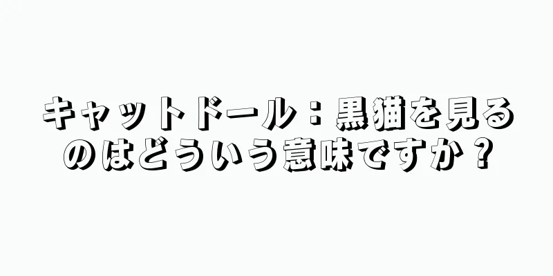 キャットドール：黒猫を見るのはどういう意味ですか？