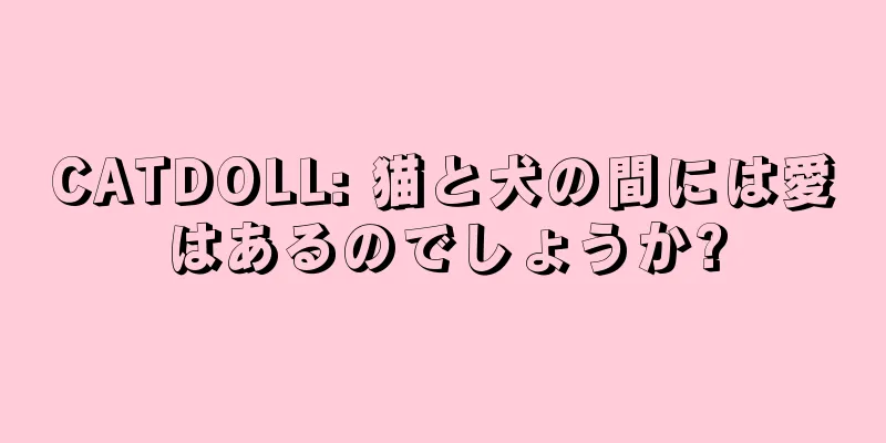 CATDOLL: 猫と犬の間には愛はあるのでしょうか?