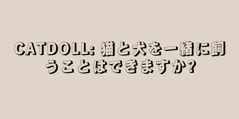 CATDOLL: 猫と犬を一緒に飼うことはできますか?