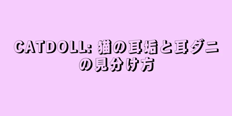 CATDOLL: 猫の耳垢と耳ダニの見分け方