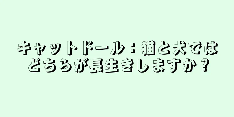 キャットドール：猫と犬ではどちらが長生きしますか？