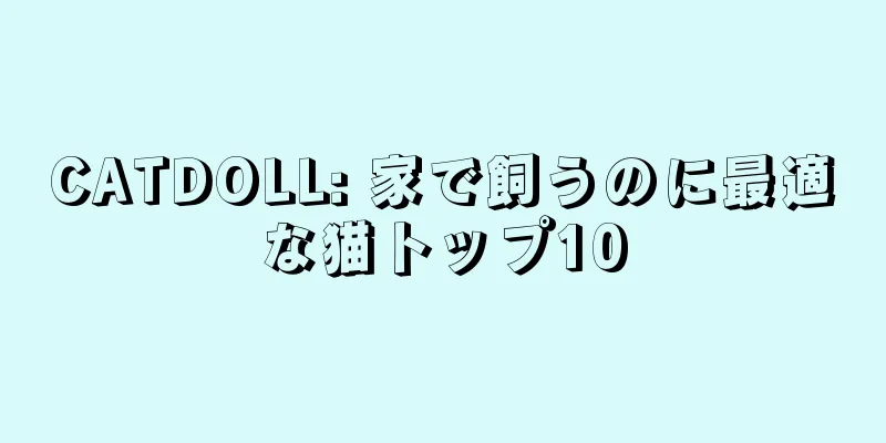 CATDOLL: 家で飼うのに最適な猫トップ10