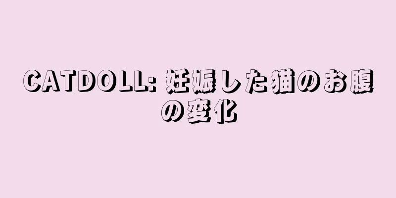 CATDOLL: 妊娠した猫のお腹の変化