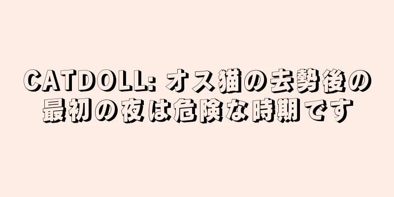 CATDOLL: オス猫の去勢後の最初の夜は危険な時期です