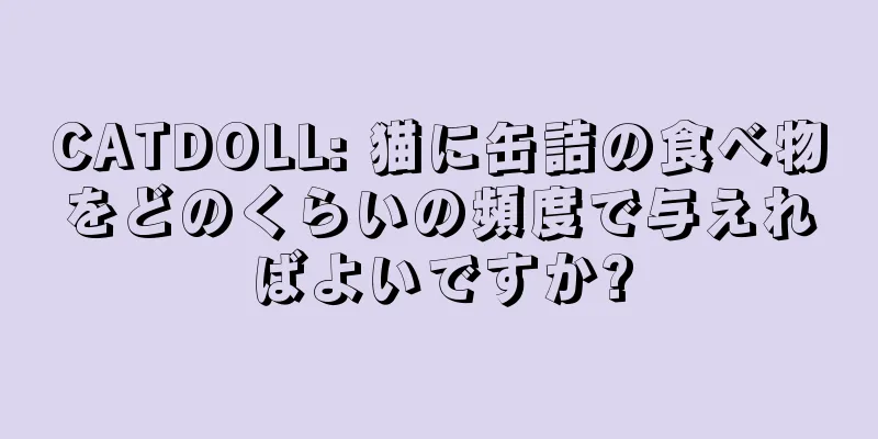 CATDOLL: 猫に缶詰の食べ物をどのくらいの頻度で与えればよいですか?