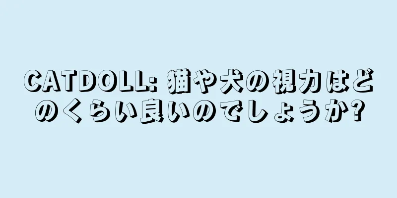 CATDOLL: 猫や犬の視力はどのくらい良いのでしょうか?