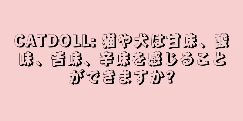 CATDOLL: 猫や犬は甘味、酸味、苦味、辛味を感じることができますか?