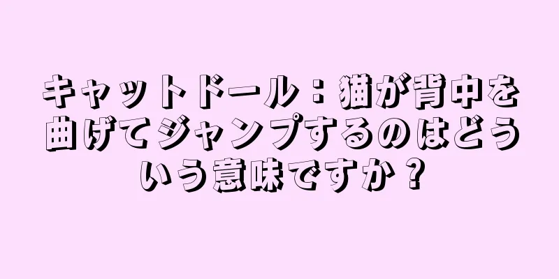 キャットドール：猫が背中を曲げてジャンプするのはどういう意味ですか？