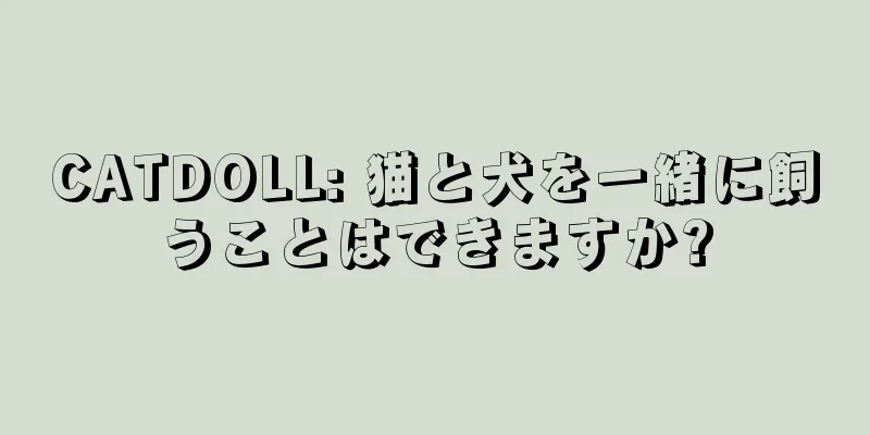 CATDOLL: 猫と犬を一緒に飼うことはできますか?
