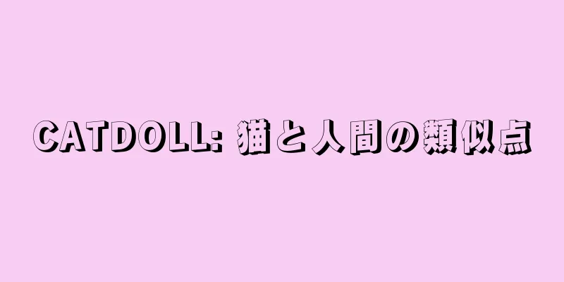 CATDOLL: 猫と人間の類似点
