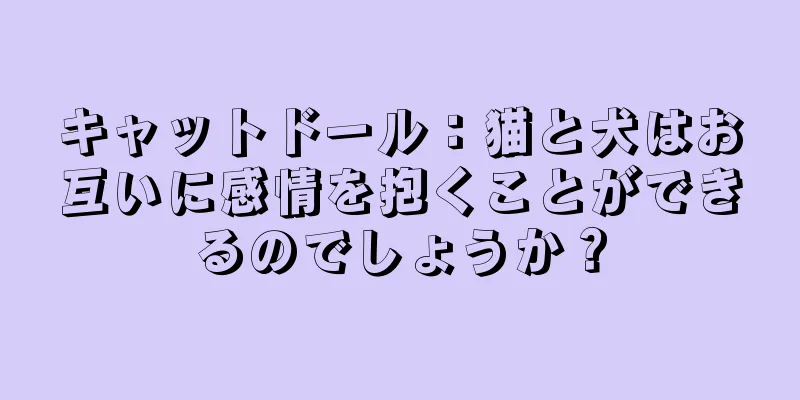 キャットドール：猫と犬はお互いに感情を抱くことができるのでしょうか？