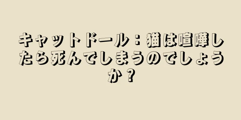 キャットドール：猫は喧嘩したら死んでしまうのでしょうか？
