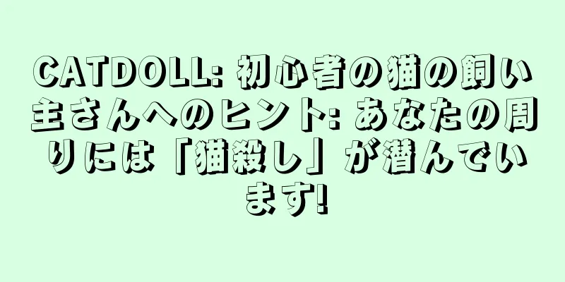 CATDOLL: 初心者の猫の飼い主さんへのヒント: あなたの周りには「猫殺し」が潜んでいます!