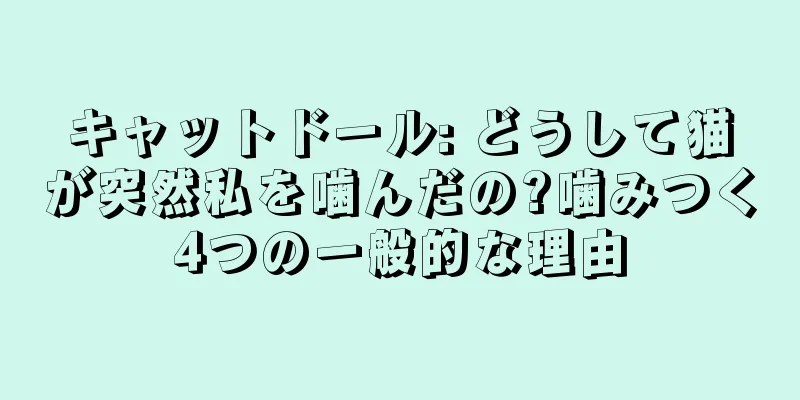 キャットドール: どうして猫が突然私を噛んだの?噛みつく4つの一般的な理由