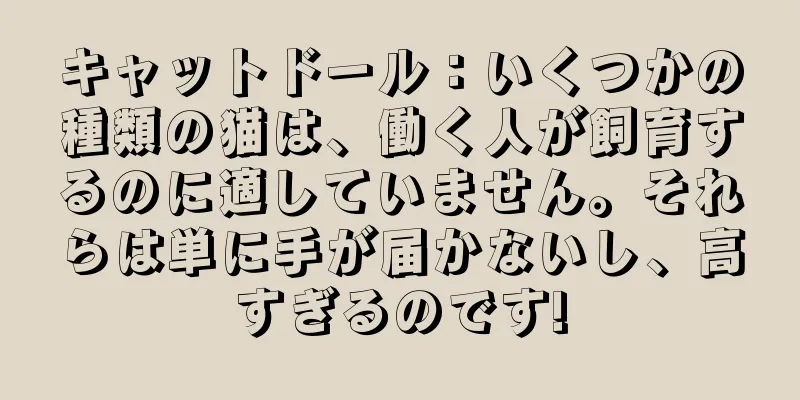 キャットドール：いくつかの種類の猫は、働く人が飼育するのに適していません。それらは単に手が届かないし、高すぎるのです!