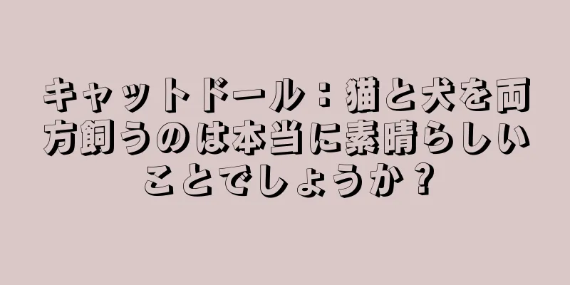 キャットドール：猫と犬を両方飼うのは本当に素晴らしいことでしょうか？