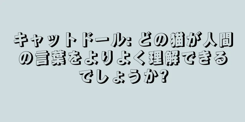キャットドール: どの猫が人間の言葉をよりよく理解できるでしょうか?