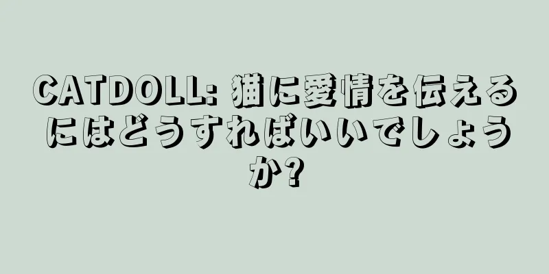 CATDOLL: 猫に愛情を伝えるにはどうすればいいでしょうか?