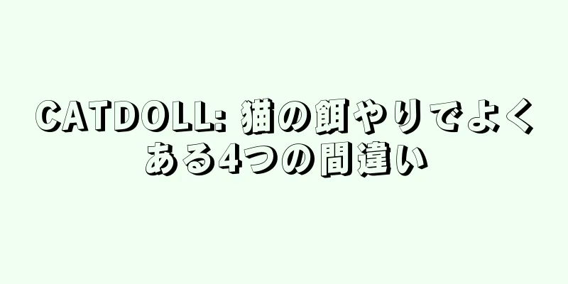 CATDOLL: 猫の餌やりでよくある4つの間違い