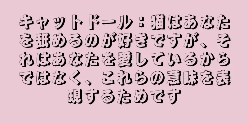 キャットドール：猫はあなたを舐めるのが好きですが、それはあなたを愛しているからではなく、これらの意味を表現するためです
