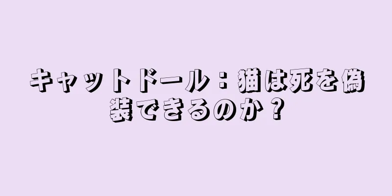 キャットドール：猫は死を偽装できるのか？