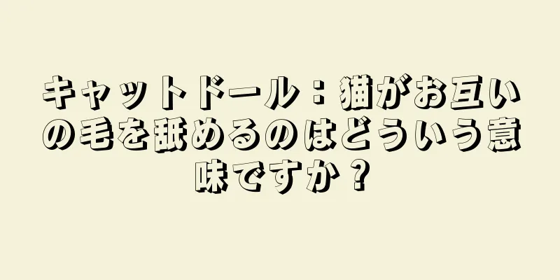 キャットドール：猫がお互いの毛を舐めるのはどういう意味ですか？
