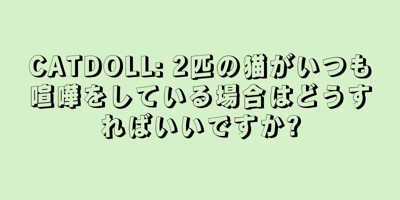 CATDOLL: 2匹の猫がいつも喧嘩をしている場合はどうすればいいですか?