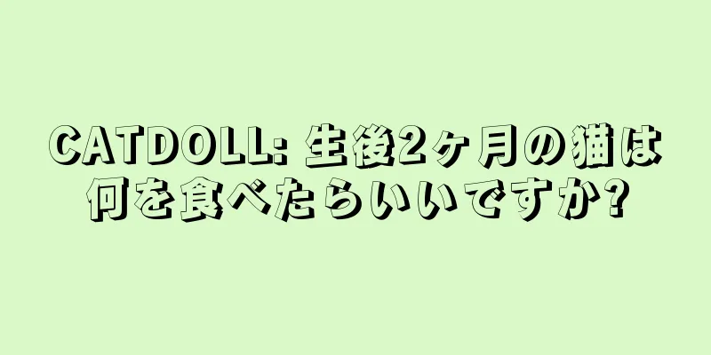 CATDOLL: 生後2ヶ月の猫は何を食べたらいいですか?
