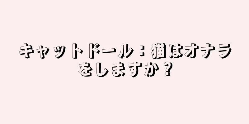 キャットドール：猫はオナラをしますか？