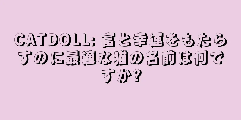 CATDOLL: 富と幸運をもたらすのに最適な猫の名前は何ですか?