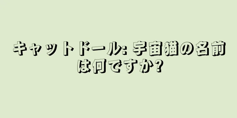 キャットドール: 宇宙猫の名前は何ですか?