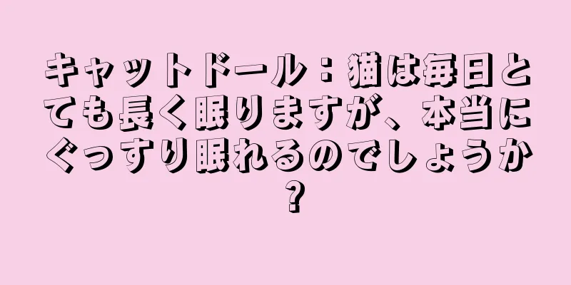 キャットドール：猫は毎日とても長く眠りますが、本当にぐっすり眠れるのでしょうか？