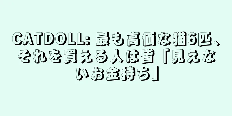 CATDOLL: 最も高価な猫6匹、それを買える人は皆「見えないお金持ち」